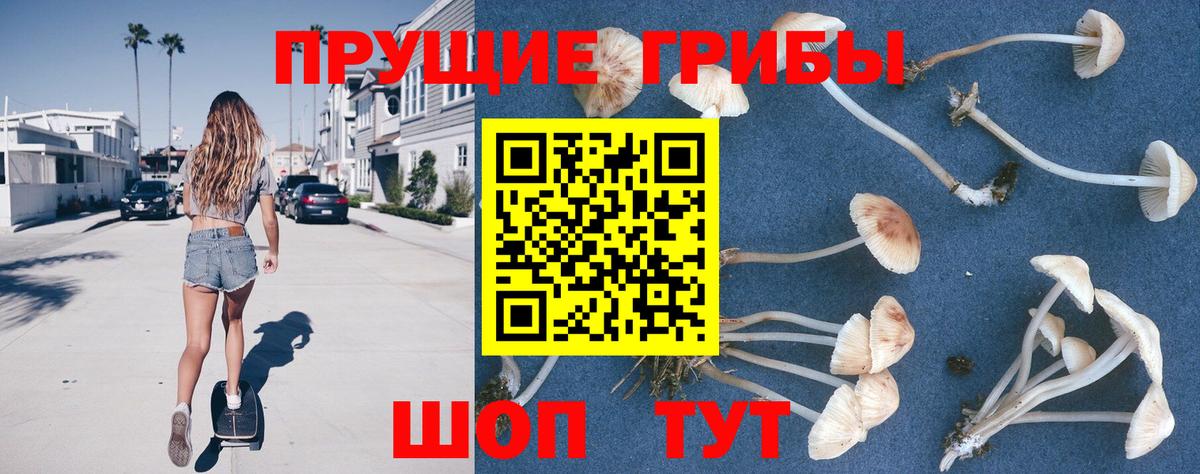 Псилоцибиновые грибы GOLDEN TEACHER  Вход с VPN  Псилоцибиновые грибы мицелий  Дюртюли 